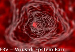 Ebv virus
