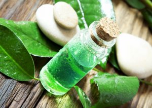 mononucleosi rimedi naturali dall’azione antivirale